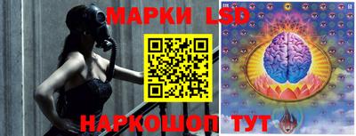 mdpv Донской
