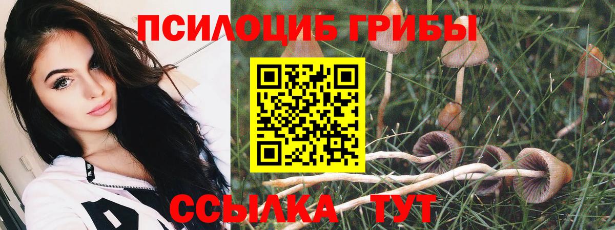 Псилоцибиновые грибы прущие грибы Чернушка